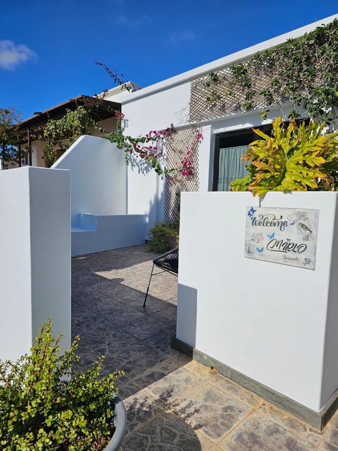 Casa Mirlo, Coqueto Alojamiento Con Terraza Y Jardin En Zona Tranquila Nazaret Ngoại thất bức ảnh